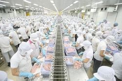 Xuất khẩu vào thị trường CPTPP khá ấn tượng