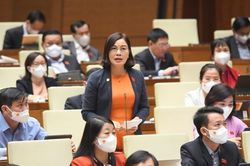 Ngăn tình trạng 'bắt tay ngầm' trong đấu giá đất
