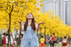 Đổ xô chụp ảnh ở đường hoa vàng óng mới xuất hiện tại Hà Nội
