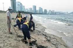 Thu gom dầu vón cục trên vịnh Nha Trang