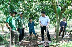 Yên Châu học và làm theo Bác