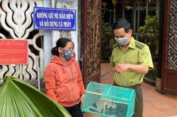 Kinh tế Kinh tế Thả 90 con chim trời về môi trường tự nhiên