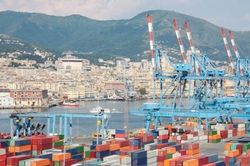 Vụ nghi lừa đảo xuất khẩu nhân điều sang Italy: Đã giữ tại cảng 16 container
