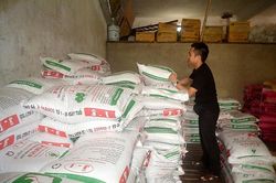 Giảm 3% chi phí thức ăn sẽ giảm được 2% giá thành chăn nuôi