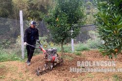 Đẩy mạnh chăm sóc cây ăn quả sau thu hoạchTin khácThể lệ tổ chức Cuộc thi trắc nghiệm 'Tìm hiểu về tư tưởng, đạo đức, phong cách Hồ Chí Minh' năm 2022Tổng đài viên đặc biệt: Chỗ dựa vững chắc cho F0 điều trị tại nhà
