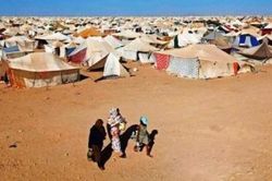 Vấn đề Tây Sahara: Quốc hội Mỹ tỏ rõ thái độ, Tây Ban Nha thay đổi lập trường, ủng hộ Morocco