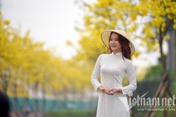 Mê mẩn ngắm những con đường hoa lá đẹp nhất Hà Nội tháng 3