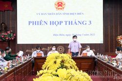 UBND tỉnh cho ý kiến vào một số tờ trình, báo cáo