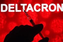 5 điều cần biết về biến thể lai Deltacron