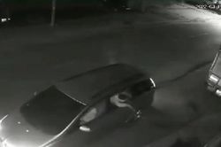 Clip: Nhóm người đi ô tô bắn điện trộm chó nhà dân ở ven Sài Gòn, toàn bộ diễn biến chỉ trong 20 giây