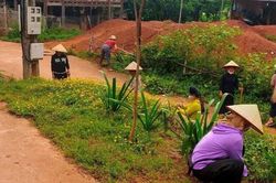 Mâu thuẫn gia đình, người đàn ông 30 tuổi bị vợ cắt đứt 'của quý'