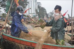 Ngư dân Thanh Hóa vượt khó, bám biển