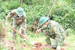 Khởi động dự án trồng và phục hồi rừng đầu nguồn sông Gianh