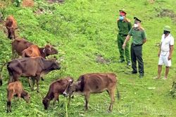 Giảm nghèo từ những mô hình thiết thực