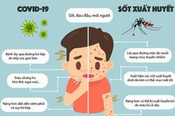 Chuyên gia chỉ cách phân biệt sốt xuất huyết và Covid-19