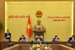 Bảo hiểm vi mô quan tâm tới đối tượng có thu nhập thấp