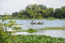 Tăng xả nước giúp giảm mặn cho Đồng bằng sông Cửu Long