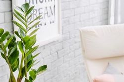 Những loại cây nghe tên là thấy 'mùi tiền'; điện thoại 'cục gạch' đang hồi sinh
