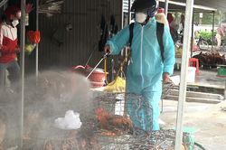 Triệu Phong: Ra quân tiêu độc khử trùng phòng bệnh trên đàn vật nuôi