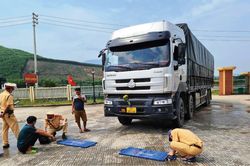 Chính trị - Xã hội Pháp luật - Cuộc sống Đồng loạt xử lý xe quá khổ, quá tải, cơi nới