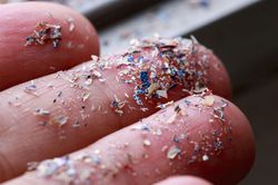 Lần đầu phát hiện hạt vi nhựa trong máu người