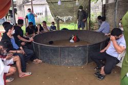 Đột kích sới gà, bắt 17 đối tượng đang tụ tập cá cược ăn tiền