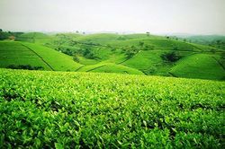 Mù Cang Chải đẩy mạnh phát triển sản phẩm OCOP của đồng bào các dân tộc vùng xa