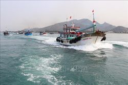 Khắc phục 'thẻ vàng' IUU: Tiêu chí giúp kinh tế biển Ninh Thuận phát triển bền vững