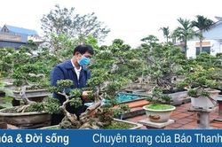 Thôn Thế Giới xây dựng vườn mẫu