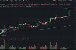 Giá Bitcoin bất ngờ 'phóng thẳng' lên mức gần 48.000 USD