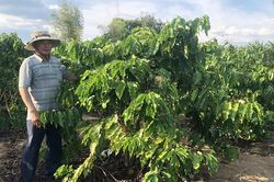 Bí thư chi bộ 'nói đi đôi với làm'