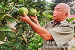 Cựu thanh niên xung phong làm kinh tế giỏiTin khácChủ động chuẩn bị điều kiện tiêm vắc xin cho trẻ em từ 5 đến dưới 12 tuôỉThể lệ tổ chức Cuộc thi trắc nghiệm 'Tìm hiểu về tư tưởng, đạo đức, phong cách Hồ Chí Minh' năm 2022