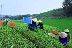 Thay đổi nếp nghĩ từ một dự án