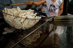 Người Indonesia kêu gọi phản đối đồ chiên khi giá dầu ăn tăng