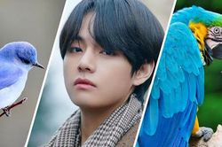 7 điều fan chưa biết về các bài hát solo của V BTS