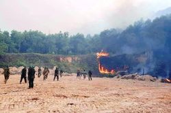 Chính trị - Xã hội Chính trị - Xã hội 77 vụ cháy rừng xảy ra trong năm 2021