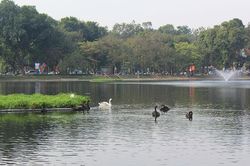 Đề xuất đưa phố đi bộ hồ Thiền Quang vào hoạt động