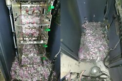 Phát hiện hơn 300 triệu trong ATM bị nát vụn, tá hỏa khi tìm được 'thủ phạm'