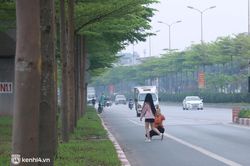 Hà Nội: Bất chấp nguy hiểm, nhiều người ra giữa đường chụp ảnh với hàng cây bàng lá nhỏ