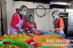 Hợp tác xã Nông trang sinh thái Mẫu Sơn: Chú trọng phát triển sản phẩm OCOPTin khácChủ động chuẩn bị điều kiện tiêm vắc xin cho trẻ em từ 5 đến dưới 12 tuôỉThể lệ tổ chức Cuộc thi trắc nghiệm 'Tìm hiểu về tư tưởng, đạo đức, phong cách Hồ Chí Minh' năm 202