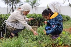Ngôi nhà xanh mát yên bình của người phụ nữ nghỉ hưu ở tuổi 42, rời thành thị về quê sinh sống