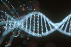 Công bố đột phá bộ gene người hoàn chỉnh đầu tiên