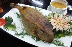 Đặc sản 'gà nước mặn' dai ngọt, thơm ngon nổi tiếng của Duyên hải Nam Trung Bộ