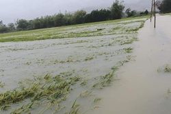 Mưa lũ trái mùa, nhiều nơi tại Thừa Thiên - Huế bị ngập cục bộ