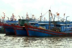 Quảng Ngãi: Kêu gọi 687 tàu vào nơi trú tránh an toàn