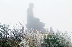 Giữa tiết xuân: Băng giá phủ trắng đỉnh Fansipan