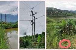 Quăng cần câu vướng vào đường dây, nam thanh niên bị điện giật tử vong