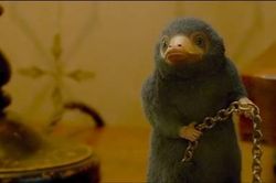 Loạt sinh vật huyền bí đổ bộ trong phần 3 của 'Fantastic Beasts'