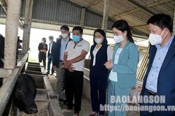 Xây dựng nông thôn mới ở xã vùng khó: Quyết đạt mục tiêuTin khácThể lệ tổ chức Cuộc thi trắc nghiệm 'Tìm hiểu về tư tưởng, đạo đức, phong cách Hồ Chí Minh' năm 2022Chú trọng giáo dục đạo đức, lối sống cho học sinh