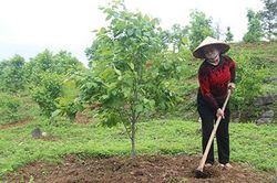 Dự án hỗ trợ giảm nghèo của trung ương tại Lạng Sơn: Triển vọng từ mô hình ở xã Điềm HeTin khácThể lệ tổ chức Cuộc thi trắc nghiệm 'Tìm hiểu về tư tưởng, đạo đức, phong cách Hồ Chí Minh' năm 2022Chú trọng giáo dục đạo đức, lối sống cho học sinh